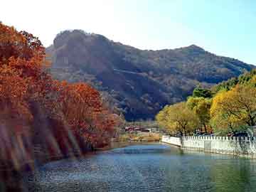 正版澳门天天开彩大全，仙骨风流